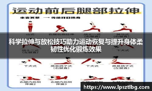 科学拉伸与放松技巧助力运动恢复与提升身体柔韧性优化锻炼效果